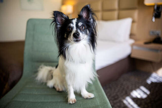 Отель Nesterov Plaza Уфа-118